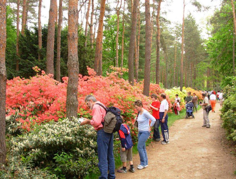 Rágyánszky Arborétum, Hungary